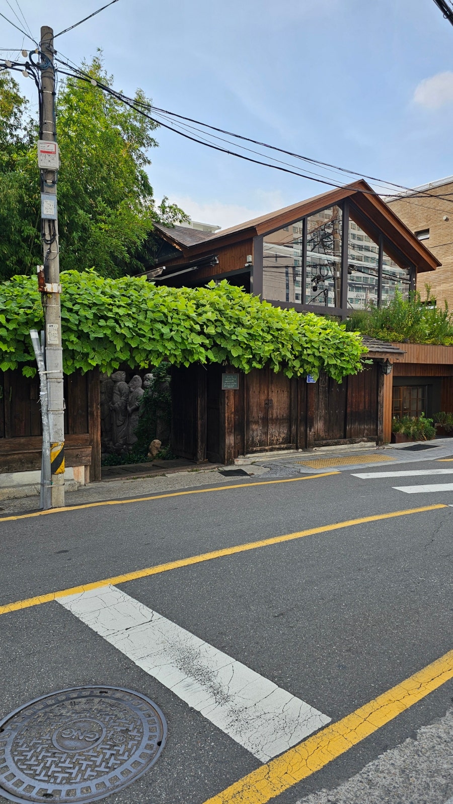 콩방 사진 6