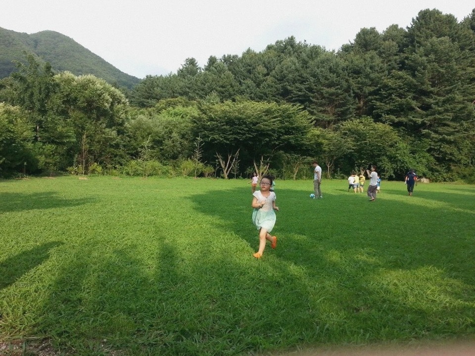 둥지캠핑장 사진 3