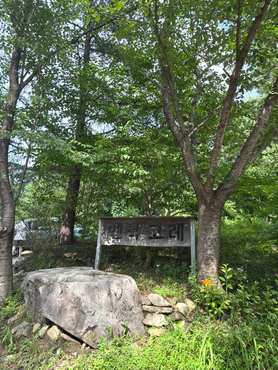 엔학고레 사진 2