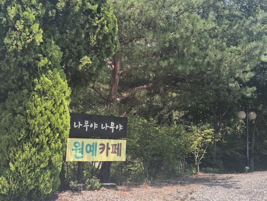 나무야나무야 사진 1