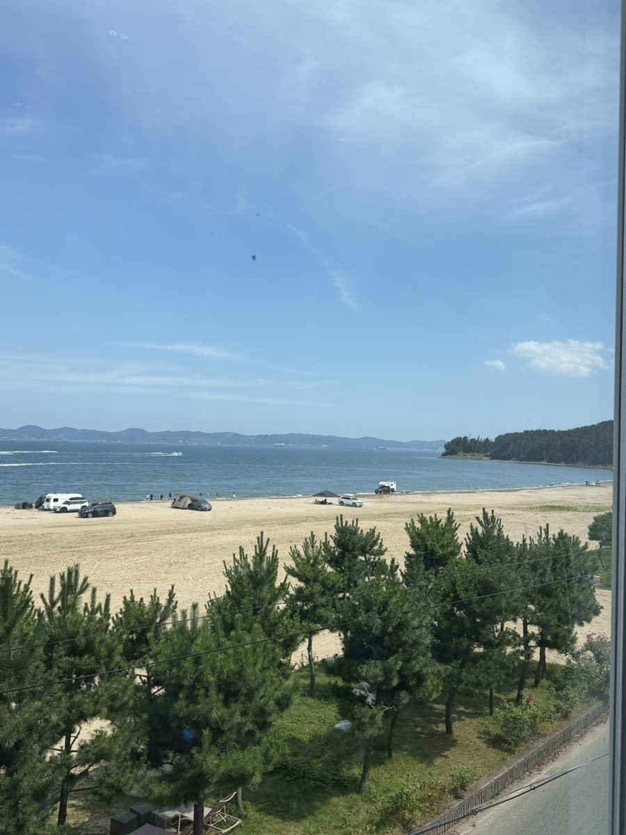 하우하이 사진 5