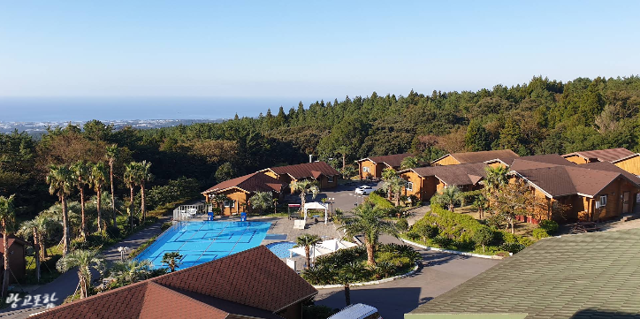 Jeju IVE Resort: A Stay Review with Great Quality for the Price!