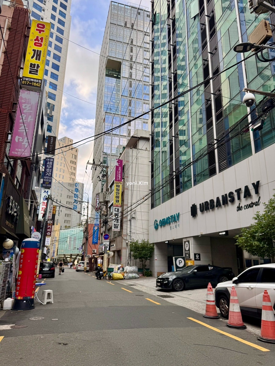 시월 사진 3