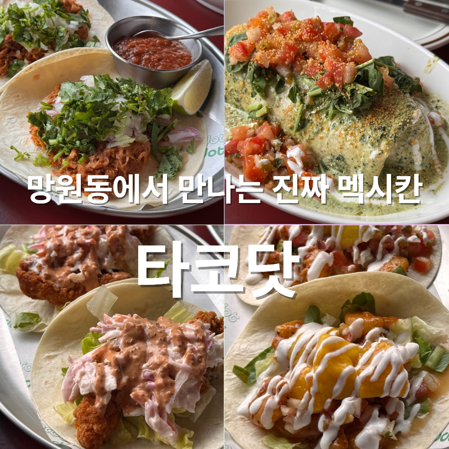 타코닷 사진 1
