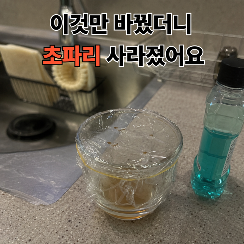 초파리 트랩 만들기,식초 트랩 만들기부터 리스테린 활용까지