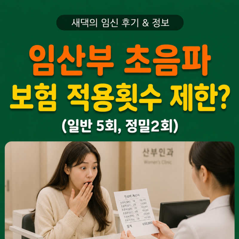 임산부 산부인과 임신 초음파 비급여 보험 처리 적용 횟수와 비용 가격 차이, 실비될까?