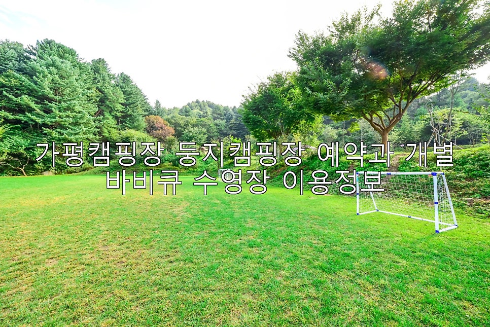 둥지캠핑장 사진 1