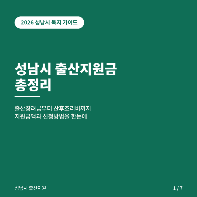 성남시출산지원금 종류와 신청방법 총정리하기