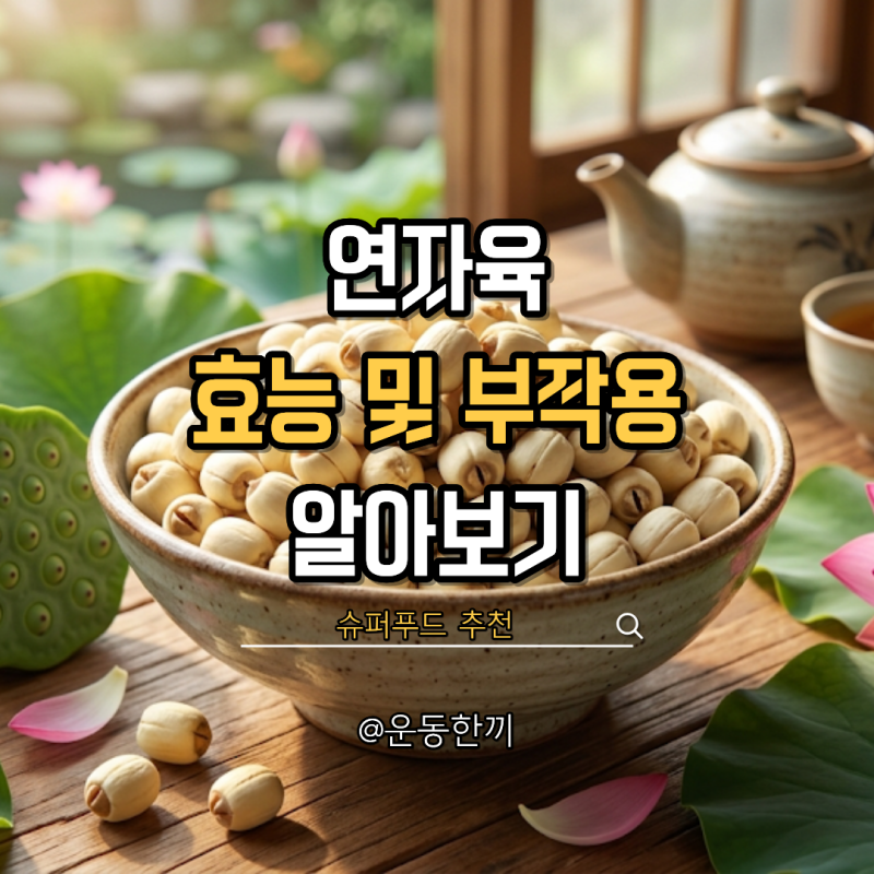 연자육 효능 먹는 방법 보관법 슈퍼푸드 추천
