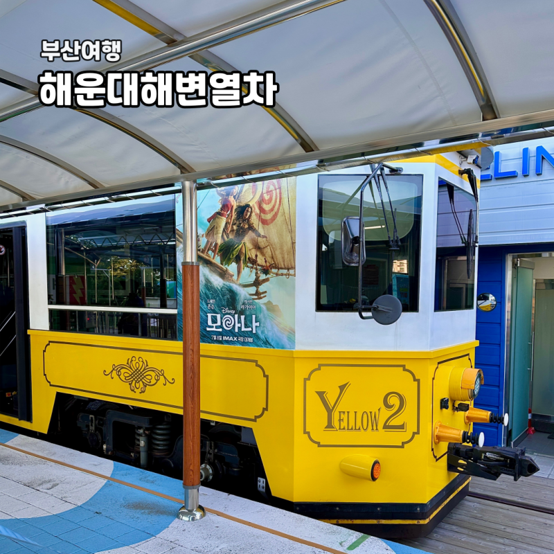 부산 여행 해운대 해변 열차 블루라인파크 송정 출발 코스