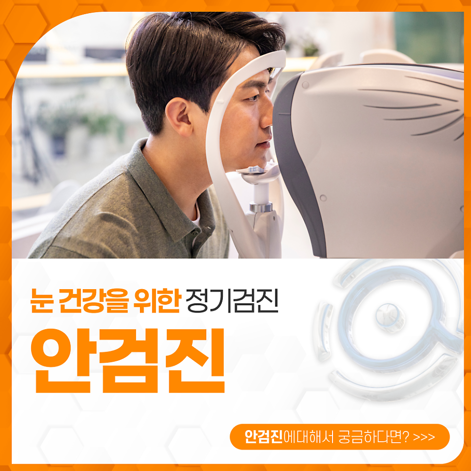 판교안 사진 1