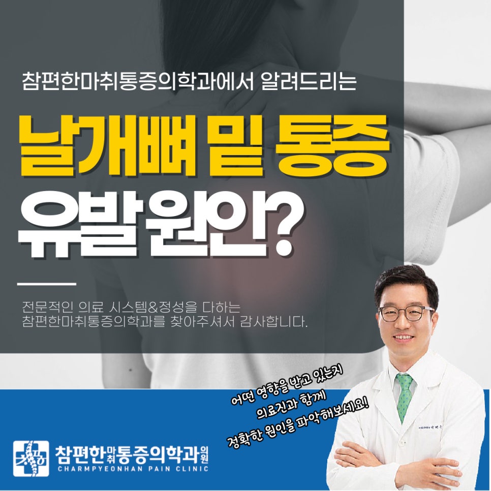 담 사진 3