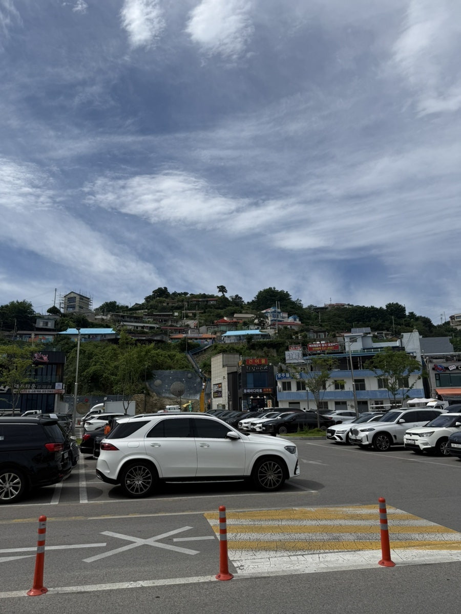 묵호항닭 문어닭강정 사진 1