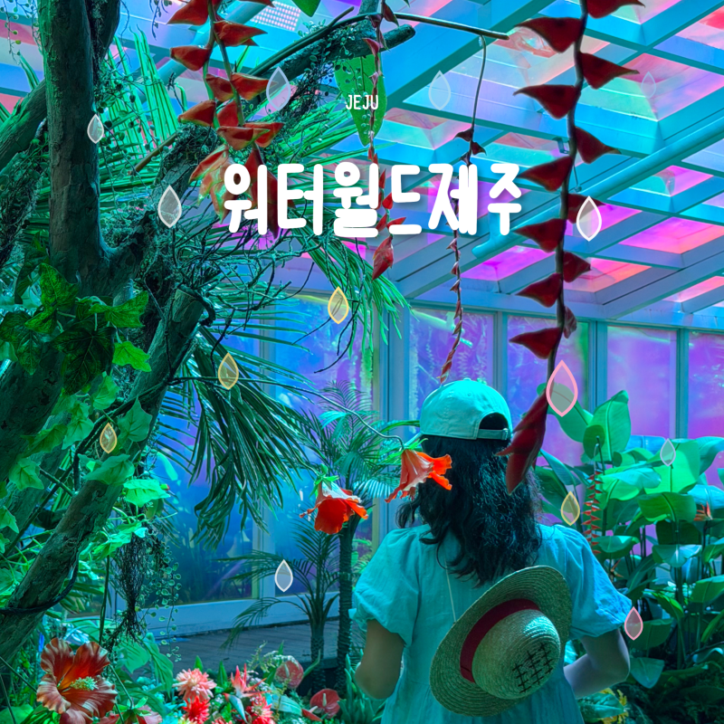 제주도 여름 실내 가볼만한곳 서귀포 워터월드 원피스 대해적시대 아이랑 제주 여행 놀거리