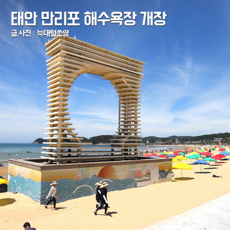 태안 만리포 해수욕장 개장 시간 샤워 시설 파라솔 서핑 등