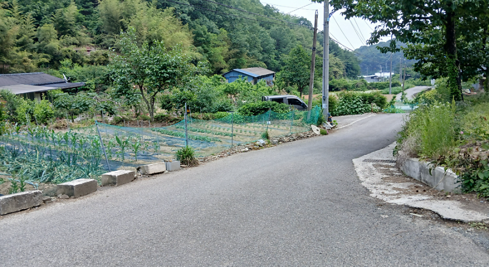 정남향 사진 5