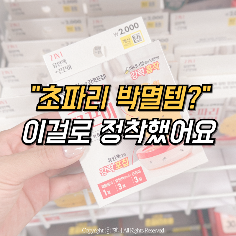 다이소 초파리 트랩 비교 추천 "화장실 초파리에 진짜 효과 좋을까?"