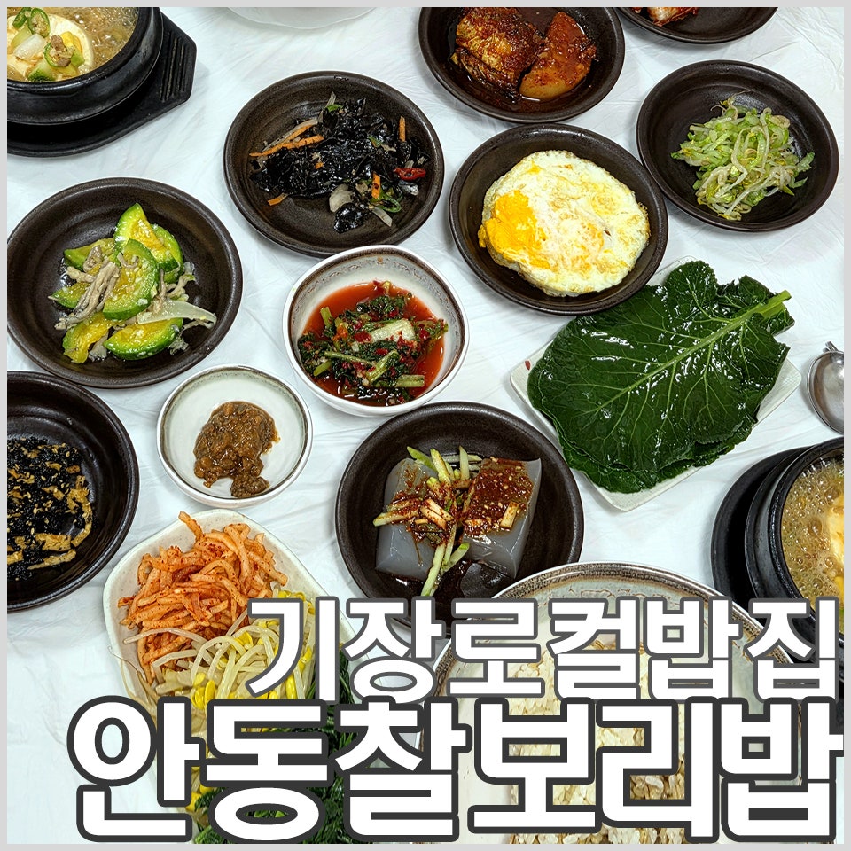 안동찰보리밥 사진 1