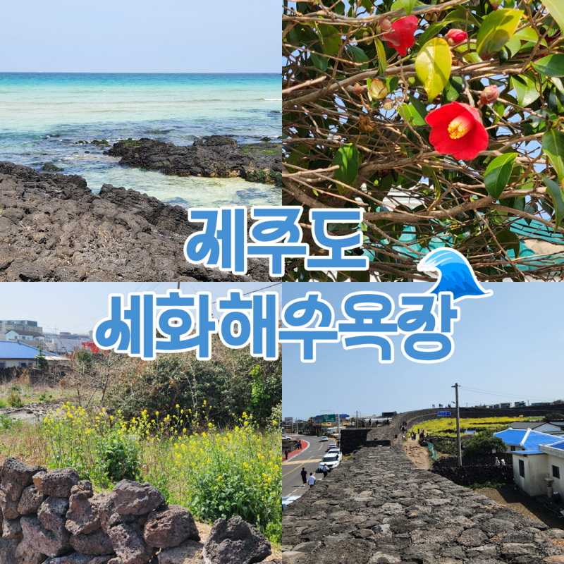 제주도 구좌여행 세화해수욕장 별방진 다녀온 후기