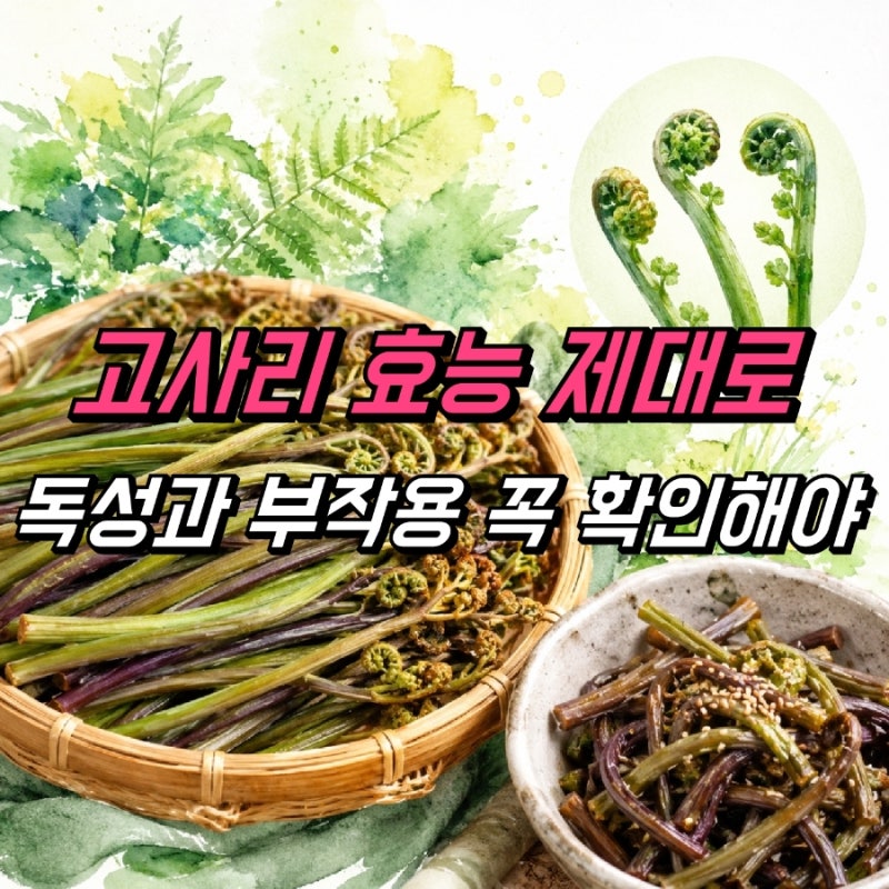 고사리 효능, 독성 부작용 주의