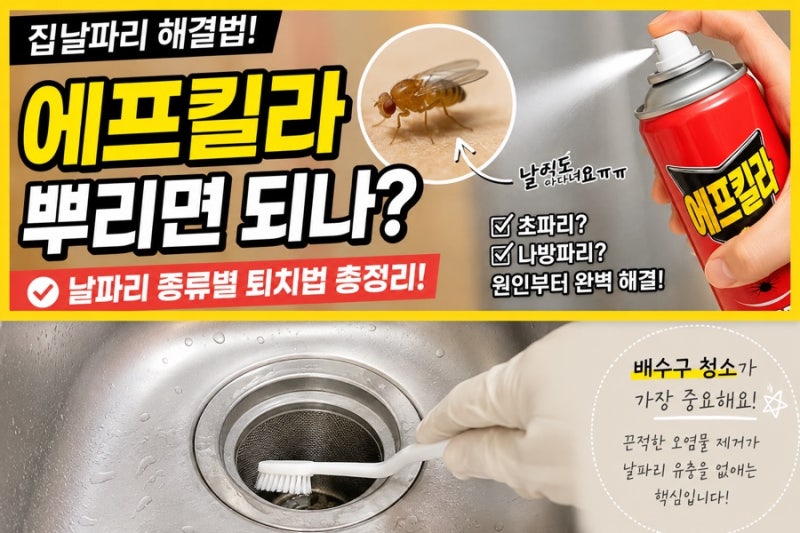 날파리 에프킬라 뿌리면 되나요? 실제로 해보고 정착한 날파리 퇴치하는 방법