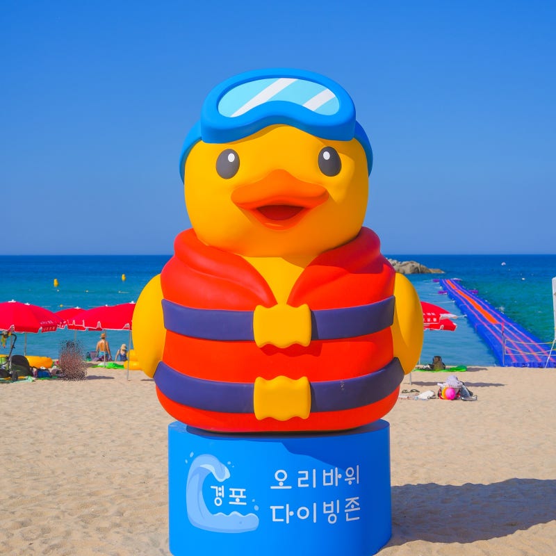 강원도 강릉 경포 해수욕장 파라솔 주차장 샤워 놀거리