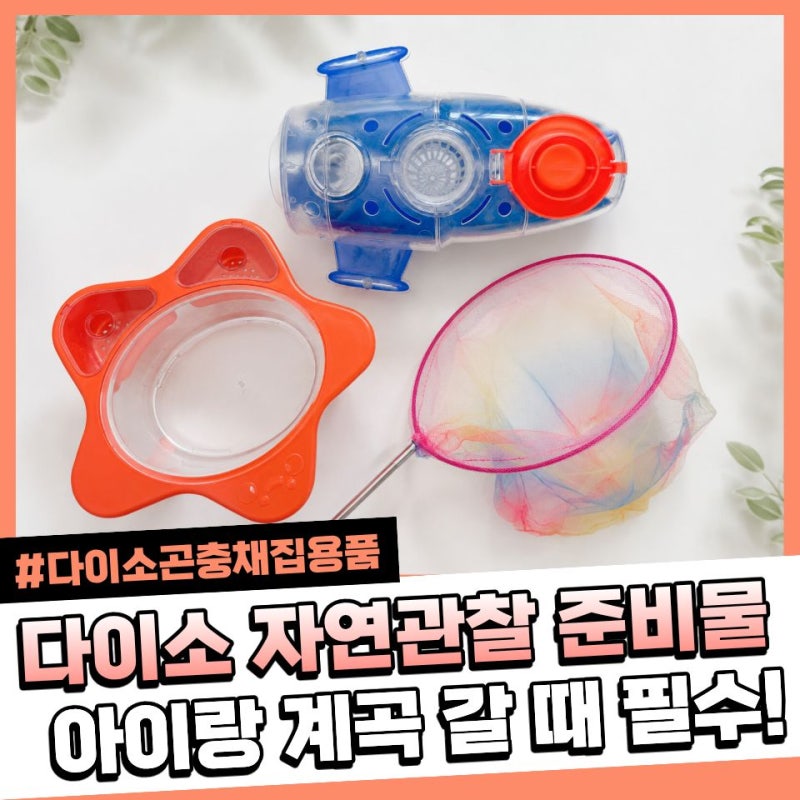 다이소 곤충채집 준비물 추천 아이와 계곡에서 사용해 본 채집용품 후기