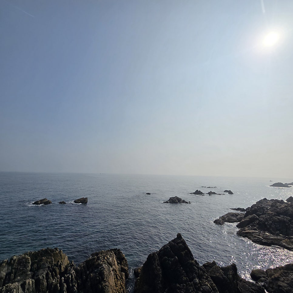 평남횟집 사진 4
