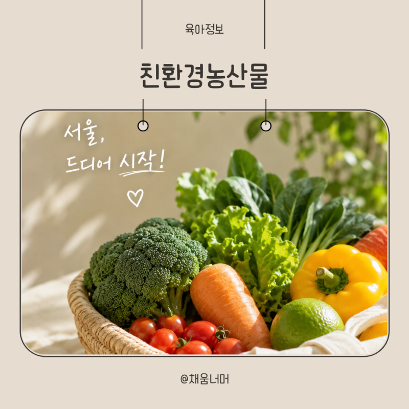 임산부 친환경농산물 서울 에코이몰 신청기간 방법 정리