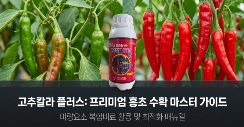 올해 고추 농사 대박 비결! 희여멀건한 고추 고민 끝, 착색과 크기를 키워주는 '고추칼라 플....