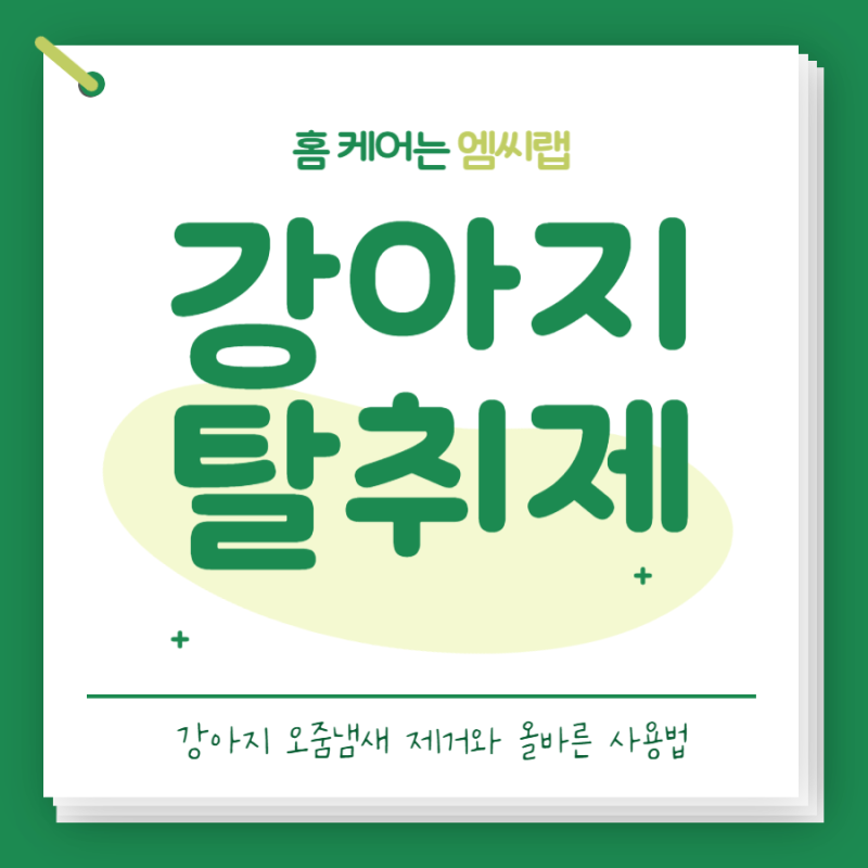 강아지탈취제 추천, 강아지 오줌냄새 제거와 올바른 사용법