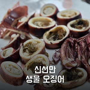 신선만 활오징어: 춈미 오징어 통찜