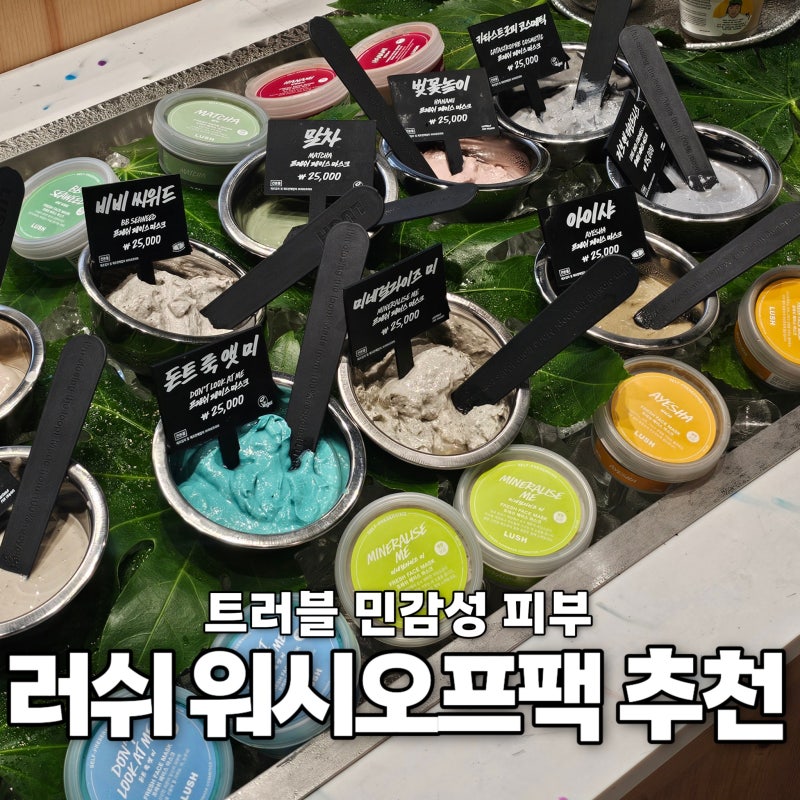 러쉬 워시오프팩 민감성 예민 트러블피부 추천 카타스트로피 코스메틱 각질제거팩 돈트룩앳....