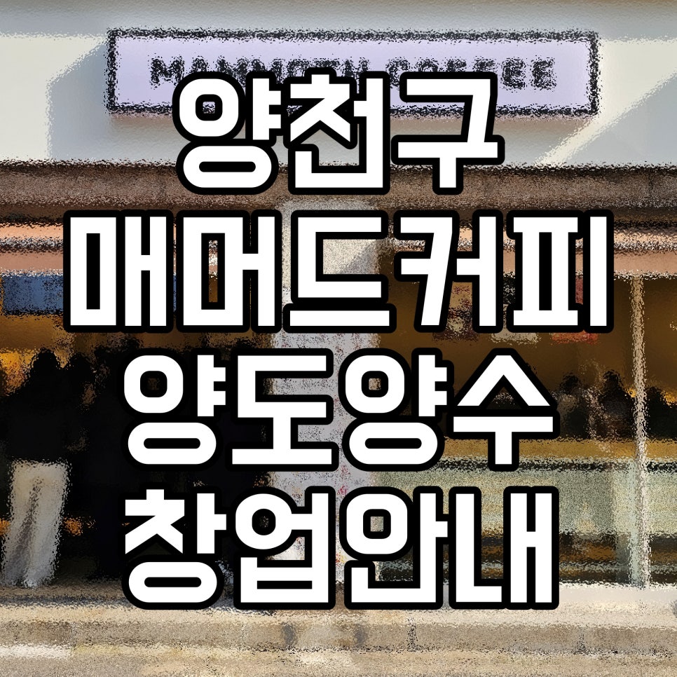 매머드익스프레스 목동1단지점 사진 1