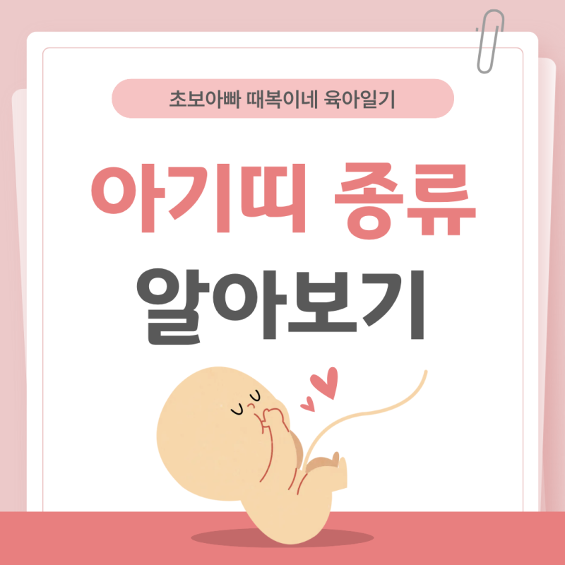 국민 아기띠 3종 비교: 베이비뵨 vs 포그내 vs 에르고 옴니 장단점 총정리