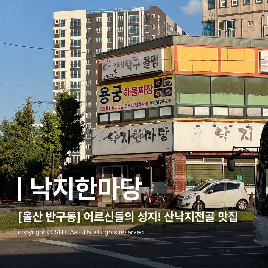 낙지한마당 사진 1