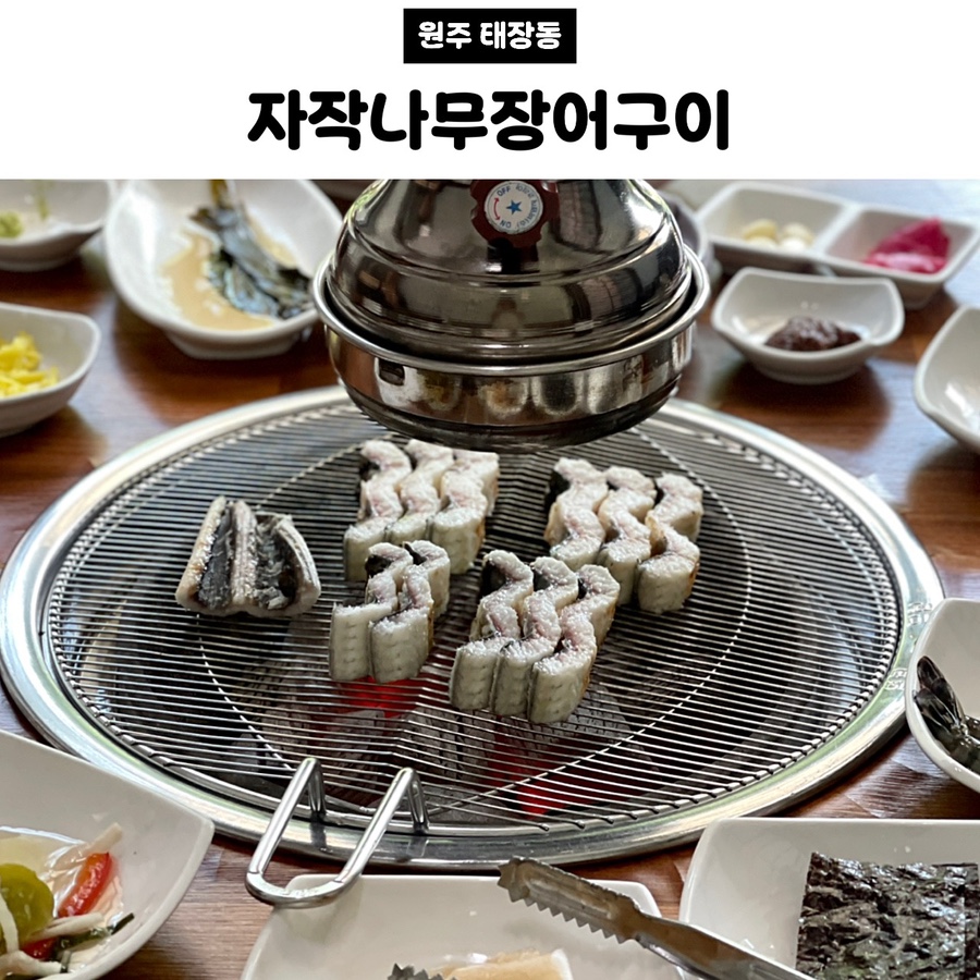 자작나무 사진 1