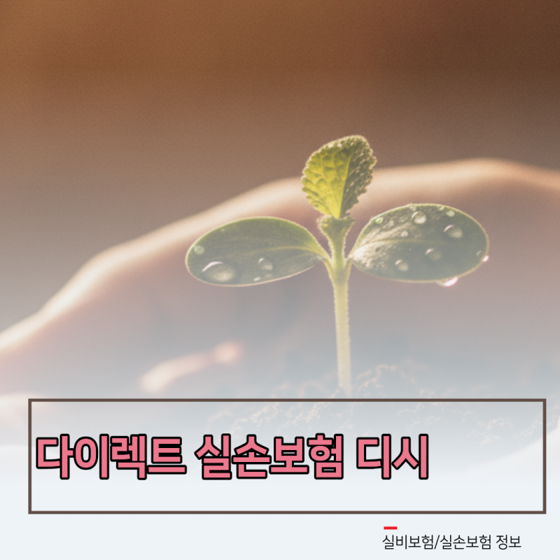 다이렉트 실손보험 디시 유저들의 현실 팩트 폭행과 가입 전 필수 체크리스트