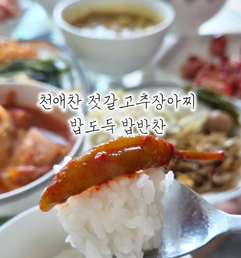 [천애찬 젓갈고추장아찌] 든든한 밑반찬, 입맛 돋우는 간단반찬 맛있는 밥반찬