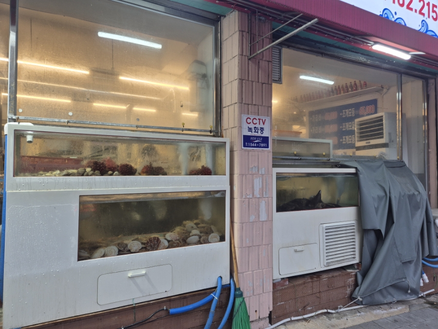 별난조개세상 사진 2