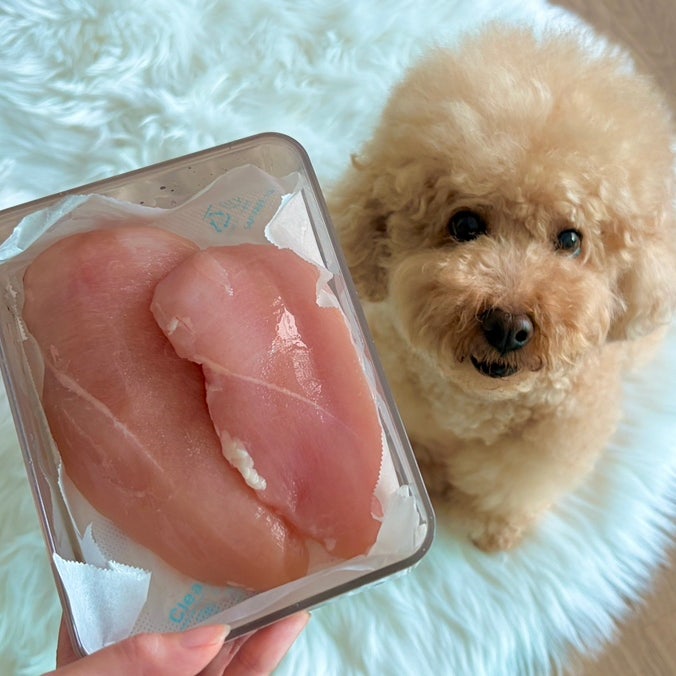강아지 닭가슴살 삶는법, 체중별 급여량과 보관법까지 총정리