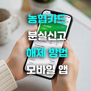 농협카드 분실신고 해제 하는 방법 및 기간 모바일 앱