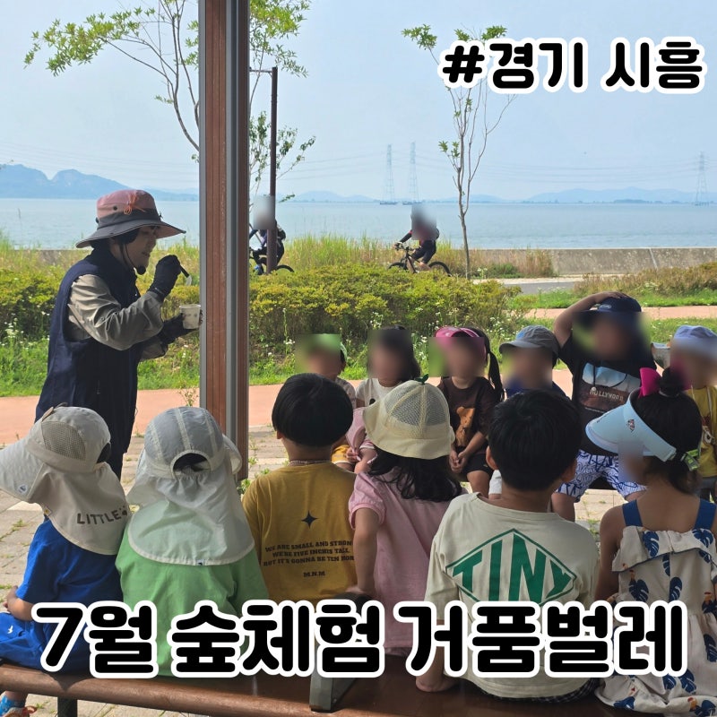 시흥 숲체험 7월 거품벌레 놀이와 매미