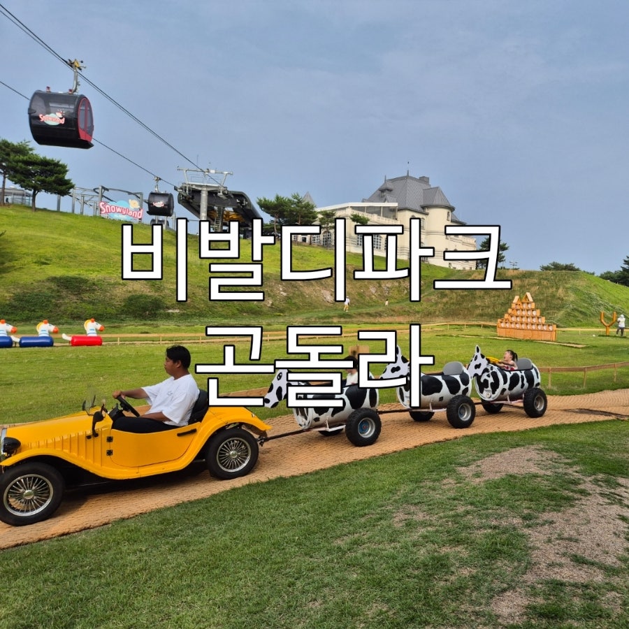 매봉산 사진 1
