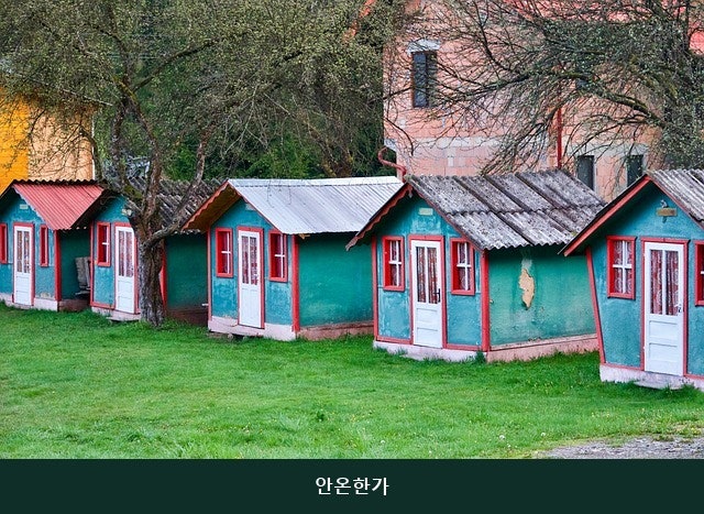 안온한가 사진 2