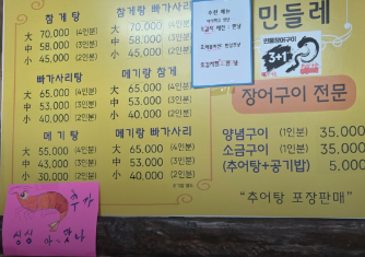 민들레 사진 4