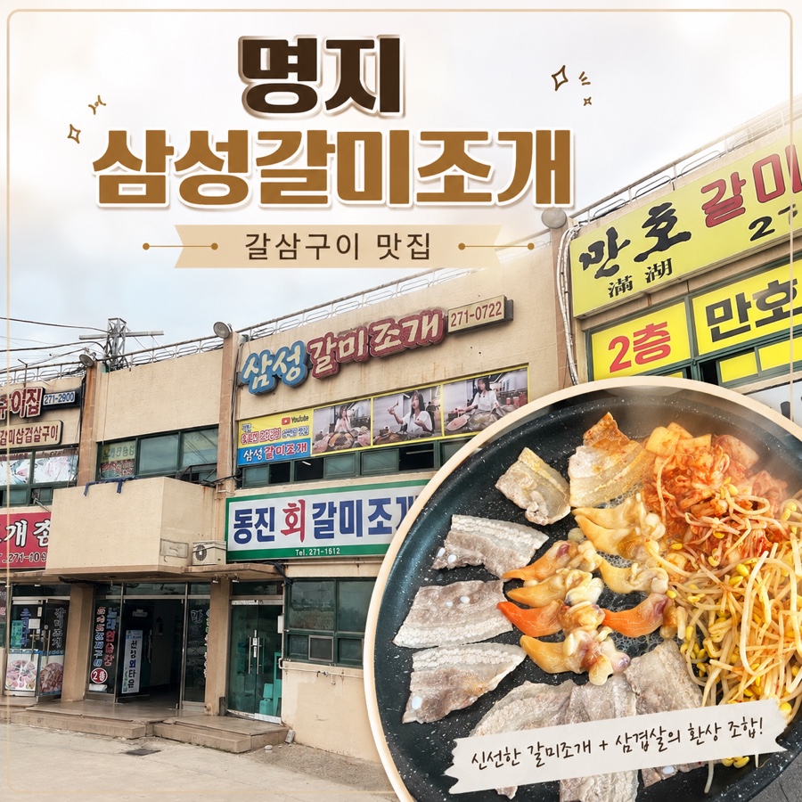 삼성갈미조개 사진 1