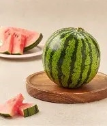 애플수박효능 총정리! 작은애플수박부터 무등산애플수박, 맛과 수확시기까지 알아보기