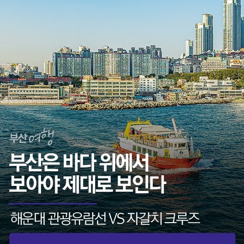 부산은 바다 위에서 보아야 제대로 보인다