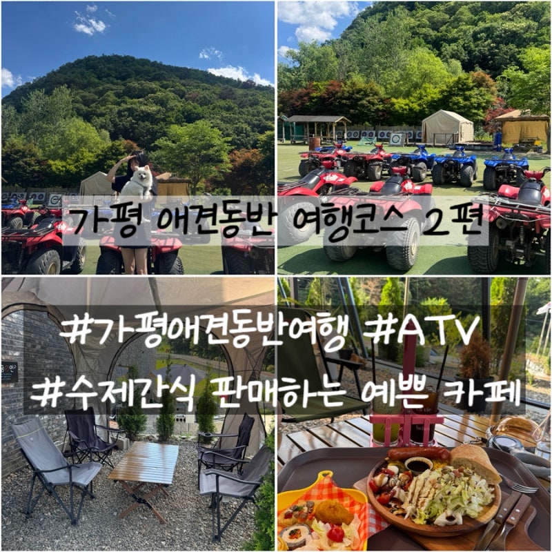 가평 애견동반 여행코스 2편 토마토레저파크 가평 ATV 가평 애견동반카페 오로앙쥬